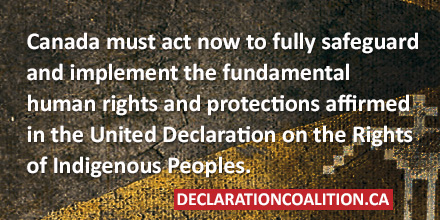 Declaration Coalition