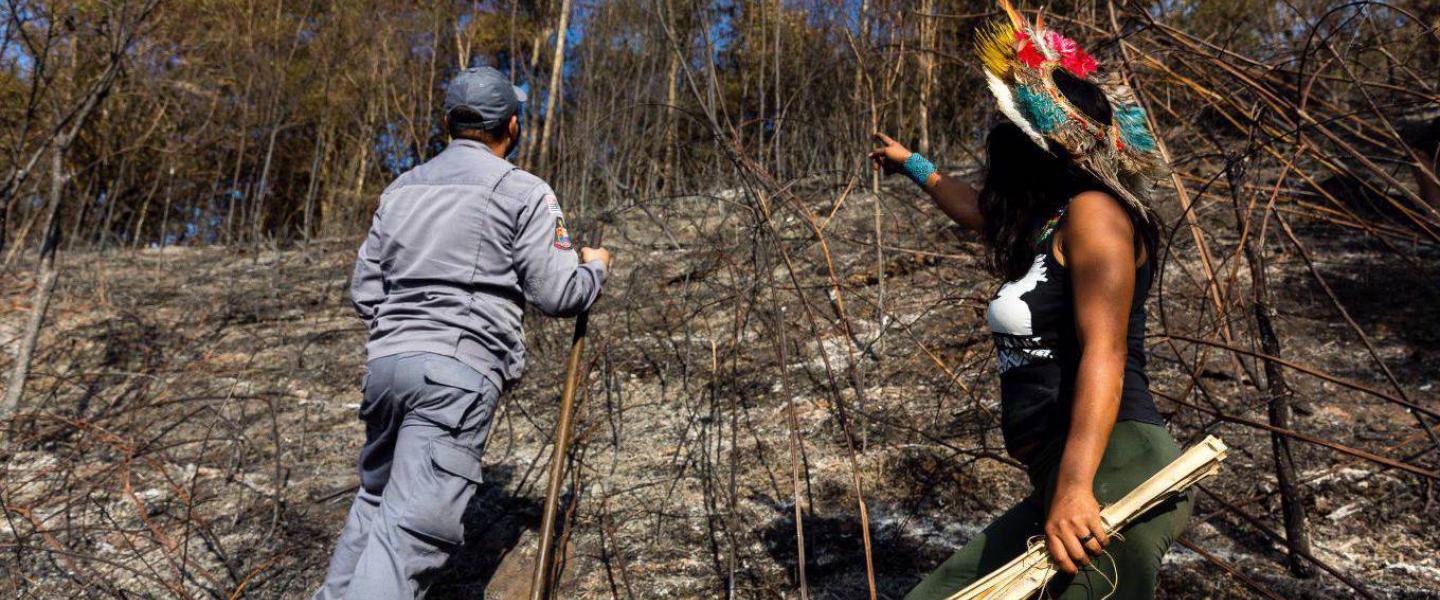 Indigenous peoples and the environment